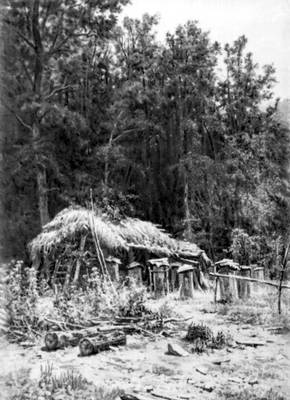 Большая Советская Энциклопедия (ШИ) i008-pictures-001-288214183.jpg
