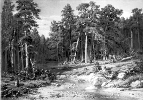 Большая Советская Энциклопедия (ШИ) i008-pictures-001-299860526.jpg
