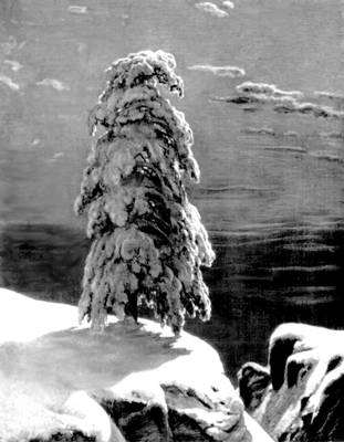 Большая Советская Энциклопедия (ШИ) i010-001-257527399.jpg
