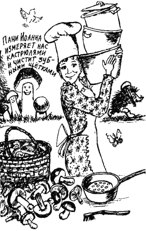 Книга про еду i_025.png