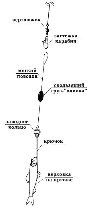 Ловля рыбы со льда i_035.jpg