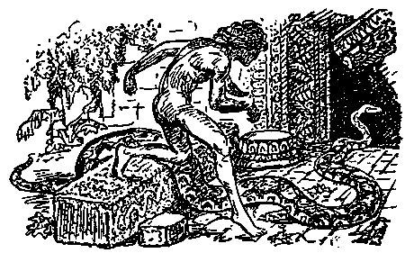 Маугли (илл. В. Ватагин) pic_19.png