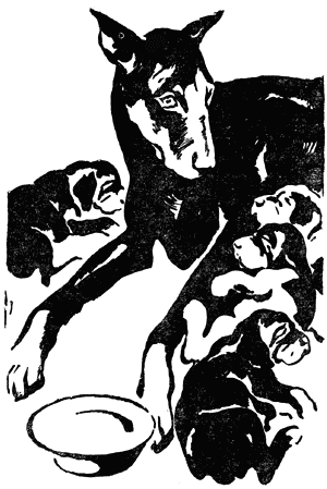 Воспитай себе друга i_003.png