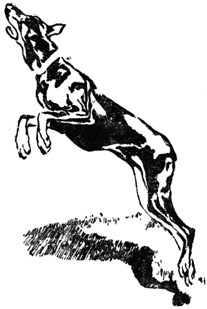 Воспитай себе друга i_007.png
