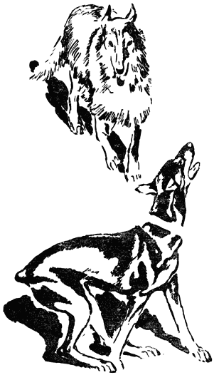 Воспитай себе друга i_010.png