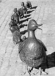 Утиная правда 2005(1) _47.jpg