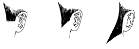 Профессия парикмахер. Учебное пособие i_041.png