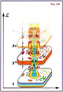 Сущность и Разум.Том 2 _159.jpg