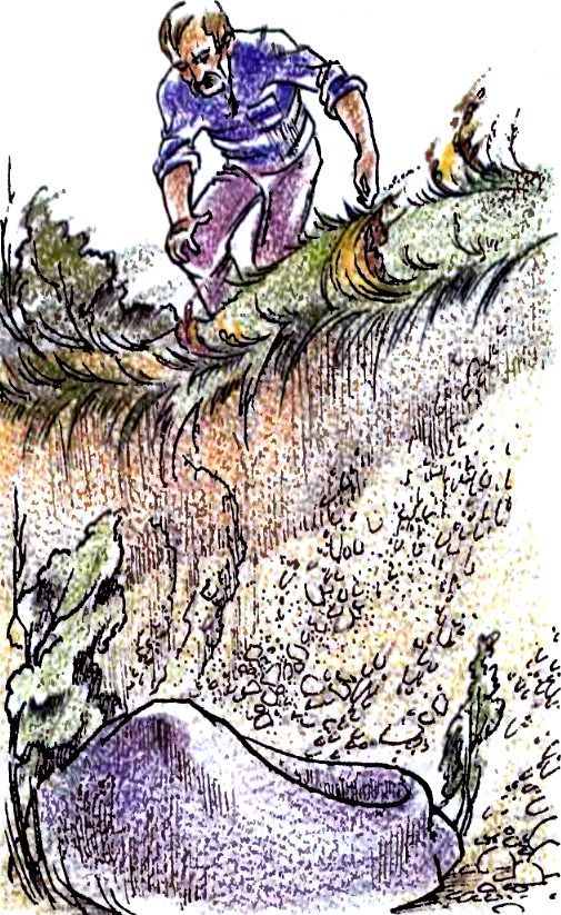 Изумрудный дождь (сборник) (с илл.) pic_24.jpg