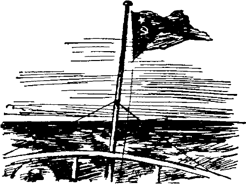 Полярная мечта (с илл.) (Мол “Северный”) i_023.png