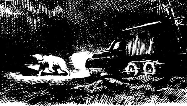 Полярная мечта (с илл.) (Мол “Северный”) i_016.png