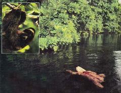 Журнал «Вокруг Света» №7 за 1995 год any2fbimgloader39.jpeg