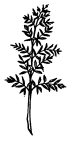 Ангелы - наши хранители i_011.png