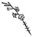 Ангелы - наши хранители i_001.png
