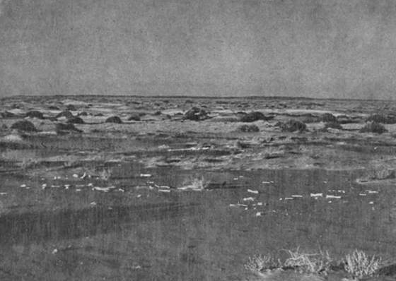 По Семиречью i_055.jpg