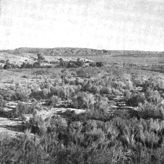 По Семиречью i_061.jpg