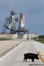 Журнал «Компьютерра» № 42 от 14 ноября 2006 года _662j1n9.jpg