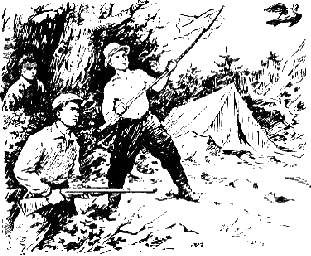Однорогая жирафа (сборник) i_010.png