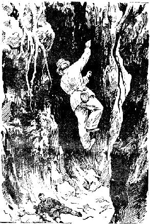 Однорогая жирафа (сборник) i_013.png