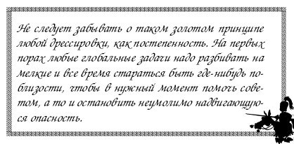 Секреты дрессировки мужчин i_023.jpg