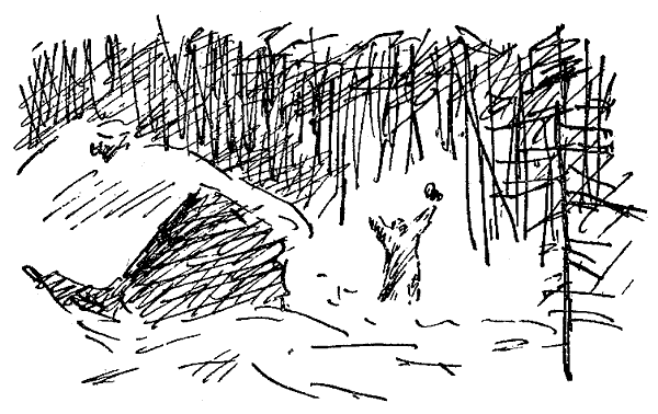 Искатель. 1970. Выпуск №2 i_013.png