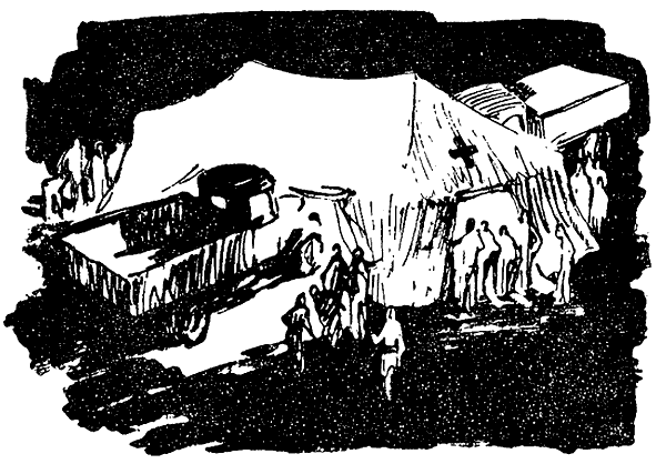 Искатель. 1970. Выпуск №2 i_026.png