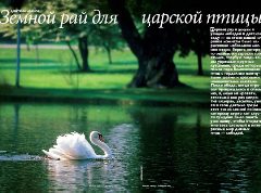 Журнал «Вокруг Света» № 9 за 2004 год (2768) any2fbimgloader17.jpeg