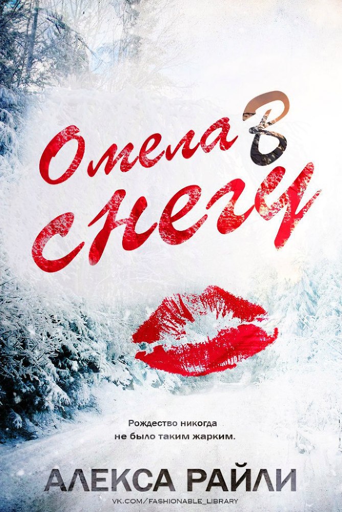 Омела в снегу _1.jpg