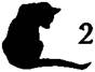 Cat Seeing Double pic_3.jpg