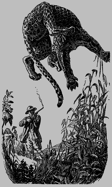 Кумаонские людоеды (с илл.) i_007.png