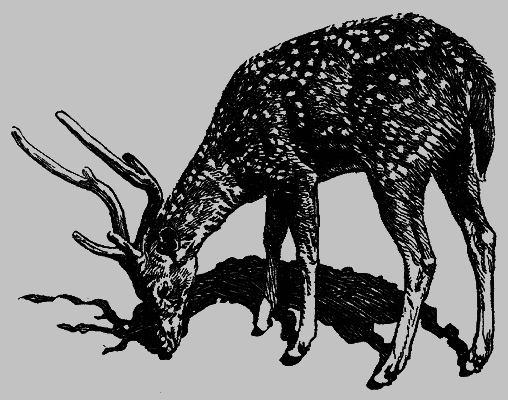 Кумаонские людоеды (с илл.) i_009.png