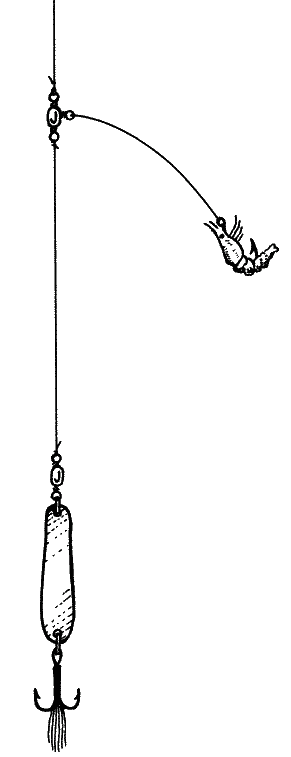 Большая книга рыболова–любителя (с цветной вкладкой) _356.png