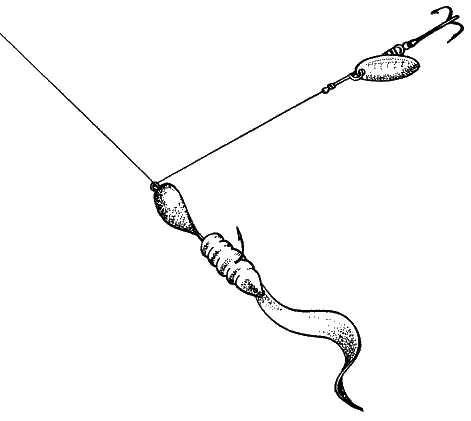 Большая книга рыболова–любителя (с цветной вкладкой) _016.png