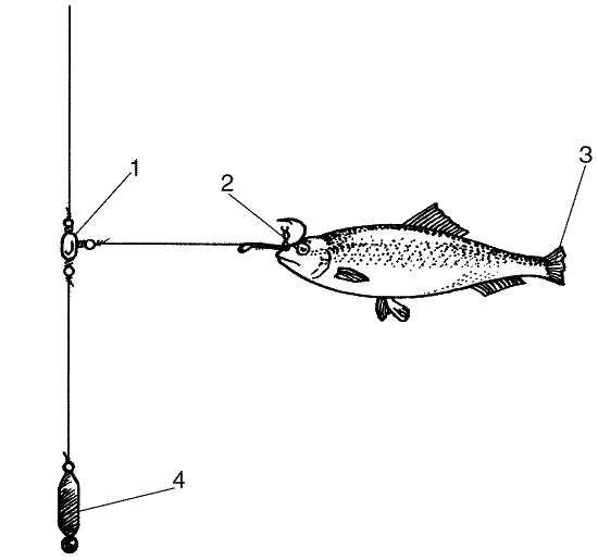 Большая книга рыболова–любителя (с цветной вкладкой) _361.png
