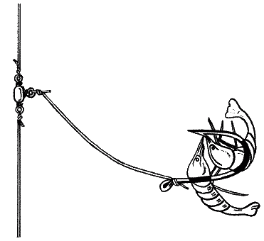 Большая книга рыболова–любителя (с цветной вкладкой) _363.png
