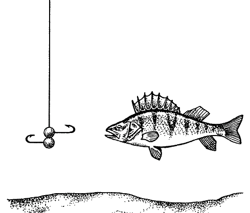 Большая книга рыболова–любителя (с цветной вкладкой) _368.png