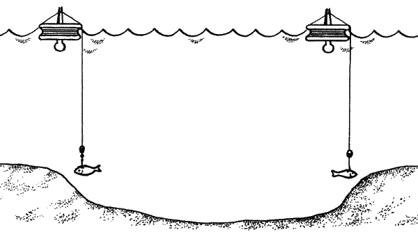 Большая книга рыболова–любителя (с цветной вкладкой) _046.png