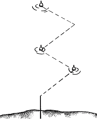 Большая книга рыболова–любителя (с цветной вкладкой) _068.png