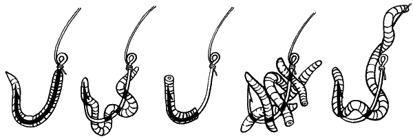 Большая книга рыболова–любителя (с цветной вкладкой) _076.png