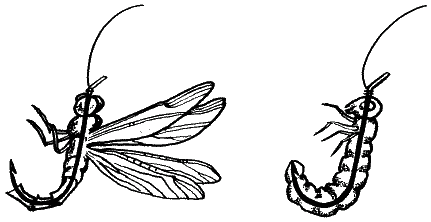 Большая книга рыболова–любителя (с цветной вкладкой) _083.png