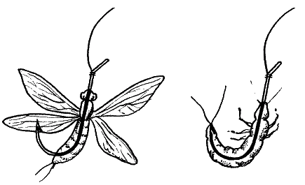 Большая книга рыболова–любителя (с цветной вкладкой) _085.png