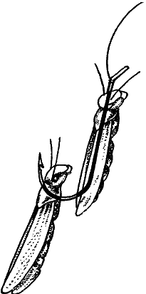 Большая книга рыболова–любителя (с цветной вкладкой) _086.png