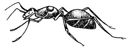Большая книга рыболова–любителя (с цветной вкладкой) _090.png