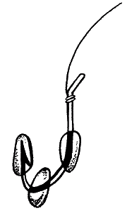 Большая книга рыболова–любителя (с цветной вкладкой) _110.png