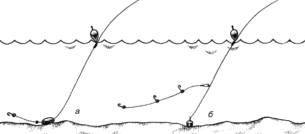 Большая книга рыболова–любителя (с цветной вкладкой) _167.png