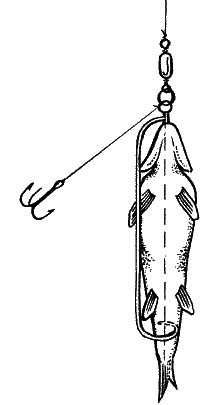 Большая книга рыболова–любителя (с цветной вкладкой) _196.png