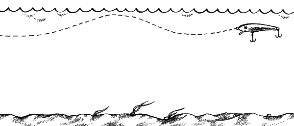 Большая книга рыболова–любителя (с цветной вкладкой) _199.png