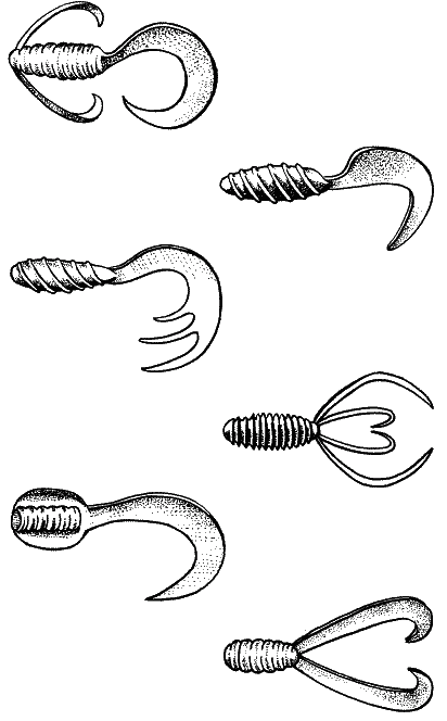 Большая книга рыболова–любителя (с цветной вкладкой) _206.png