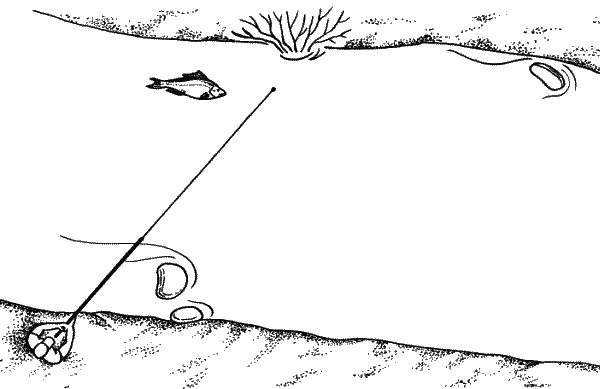 Большая книга рыболова–любителя (с цветной вкладкой) _251.png