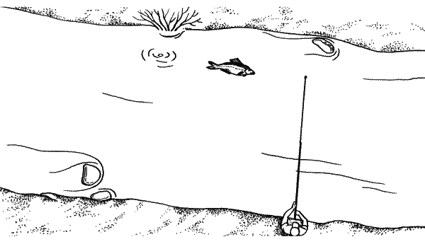 Большая книга рыболова–любителя (с цветной вкладкой) _252.png